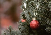 Balsam Hill Proudly Announces Its Commitment to a More Sustainable Christmas Tree